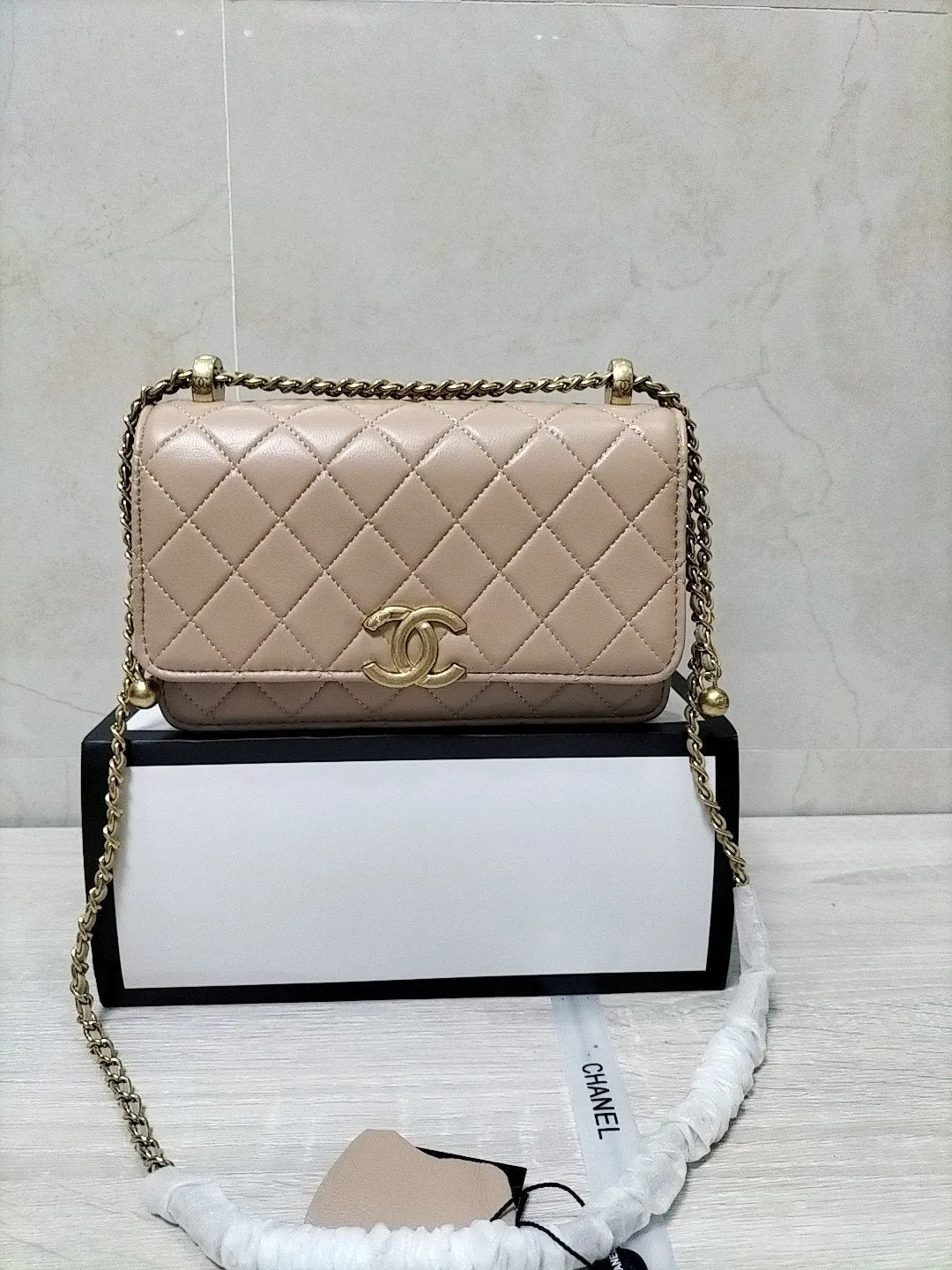 Designer Handbags CL 168