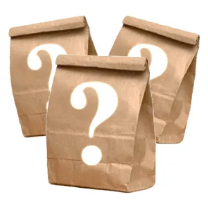 Mystery Bag Ladies Size 20-24 - FINAL SALE