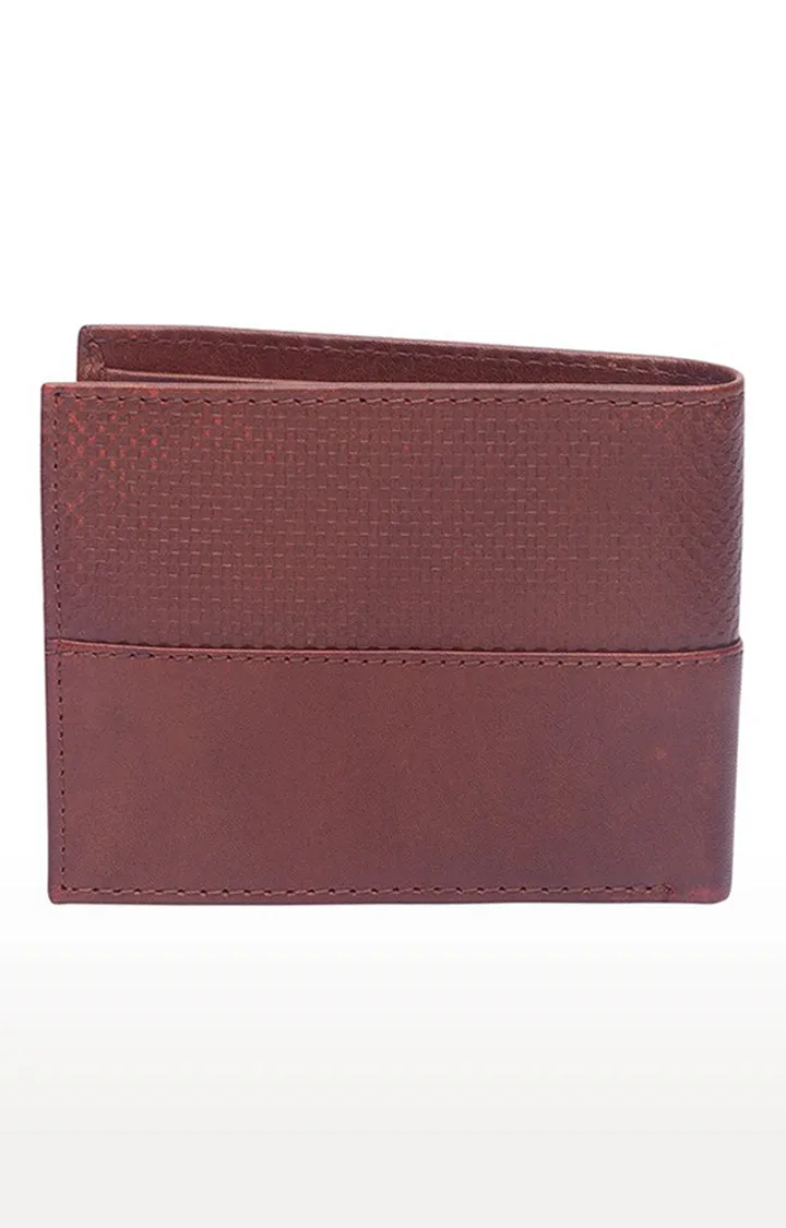 Spykar Men Brown Genuine Leather Wallet